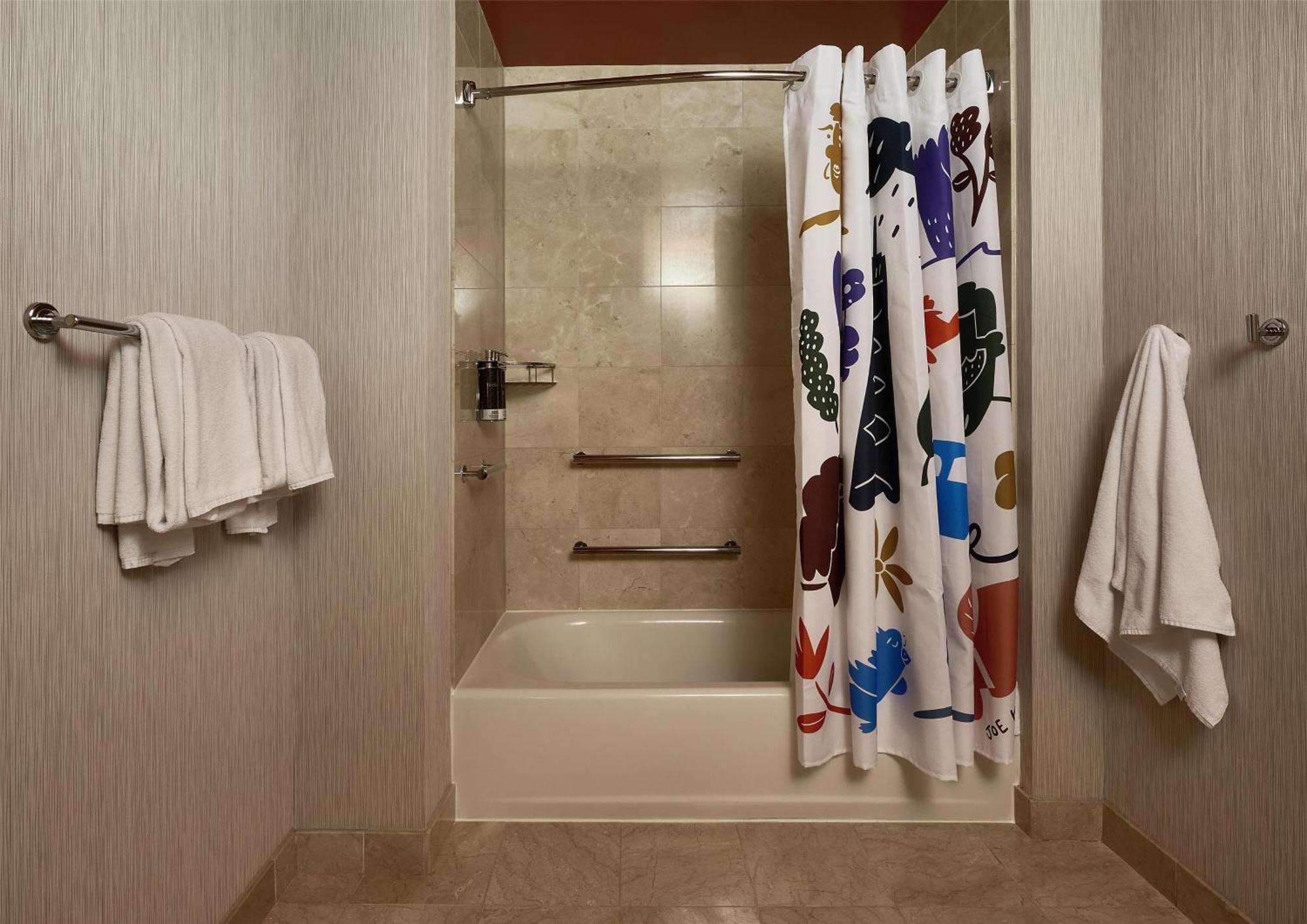 Hotel Hyatt Centric Magnificent Mile 4*